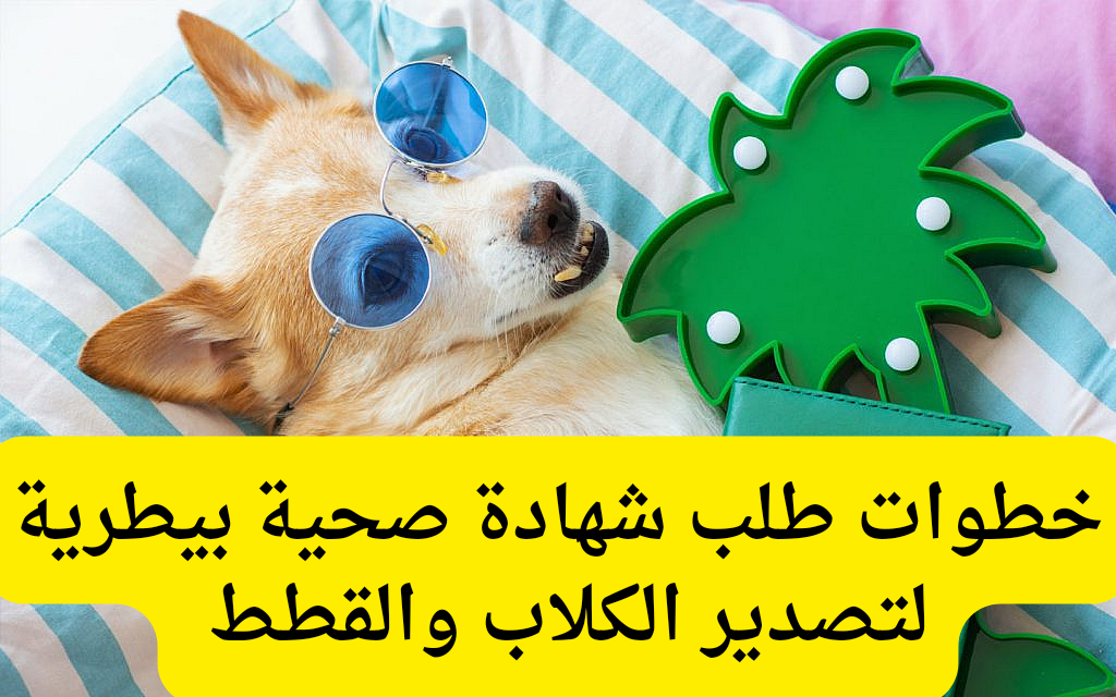 شهادة صحية بيطرية