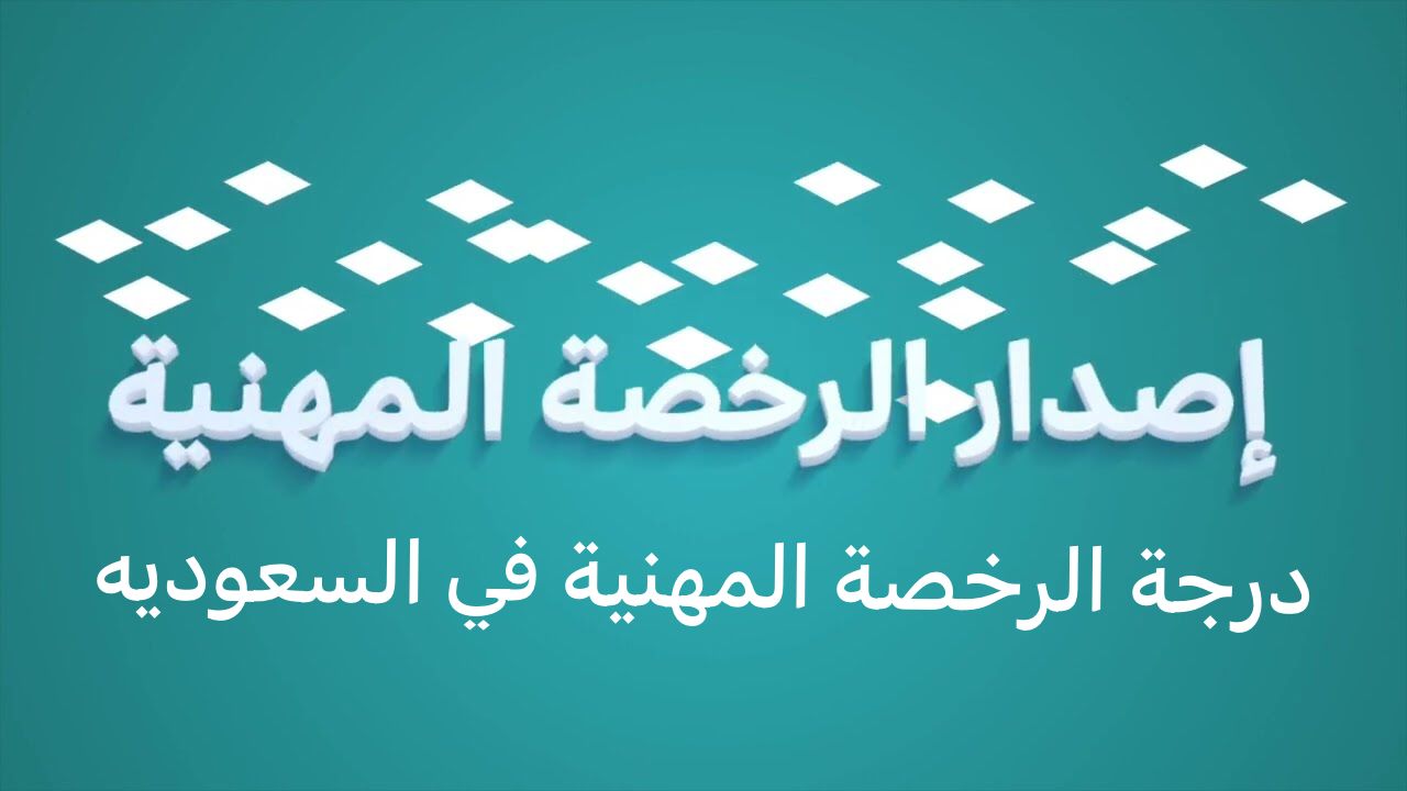 درجة الرخصة المهنية