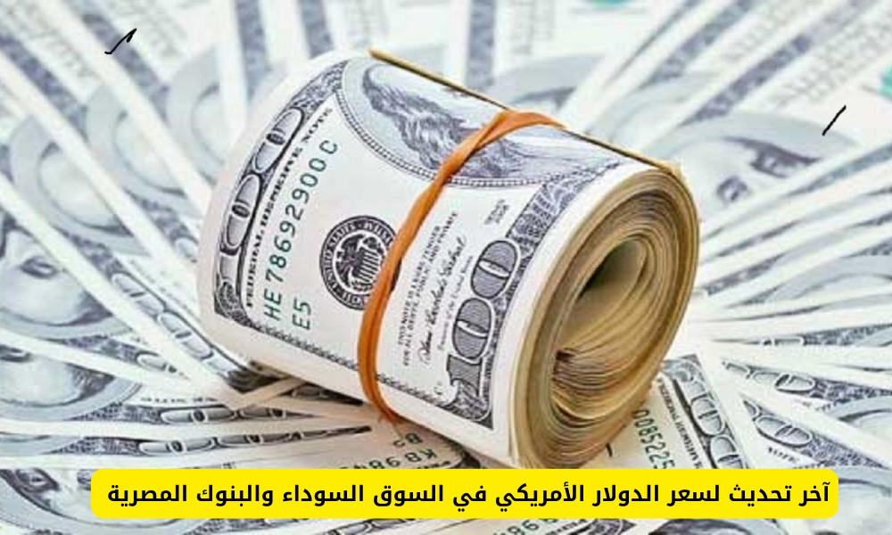 آخر تحديث في سعر الدولار مقابل الجنيه المصري اليوم في السوق السوداء