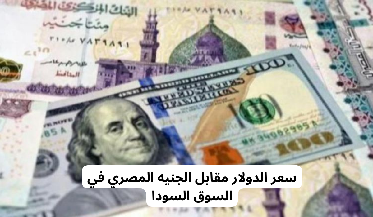 سعر الدولار في مصر