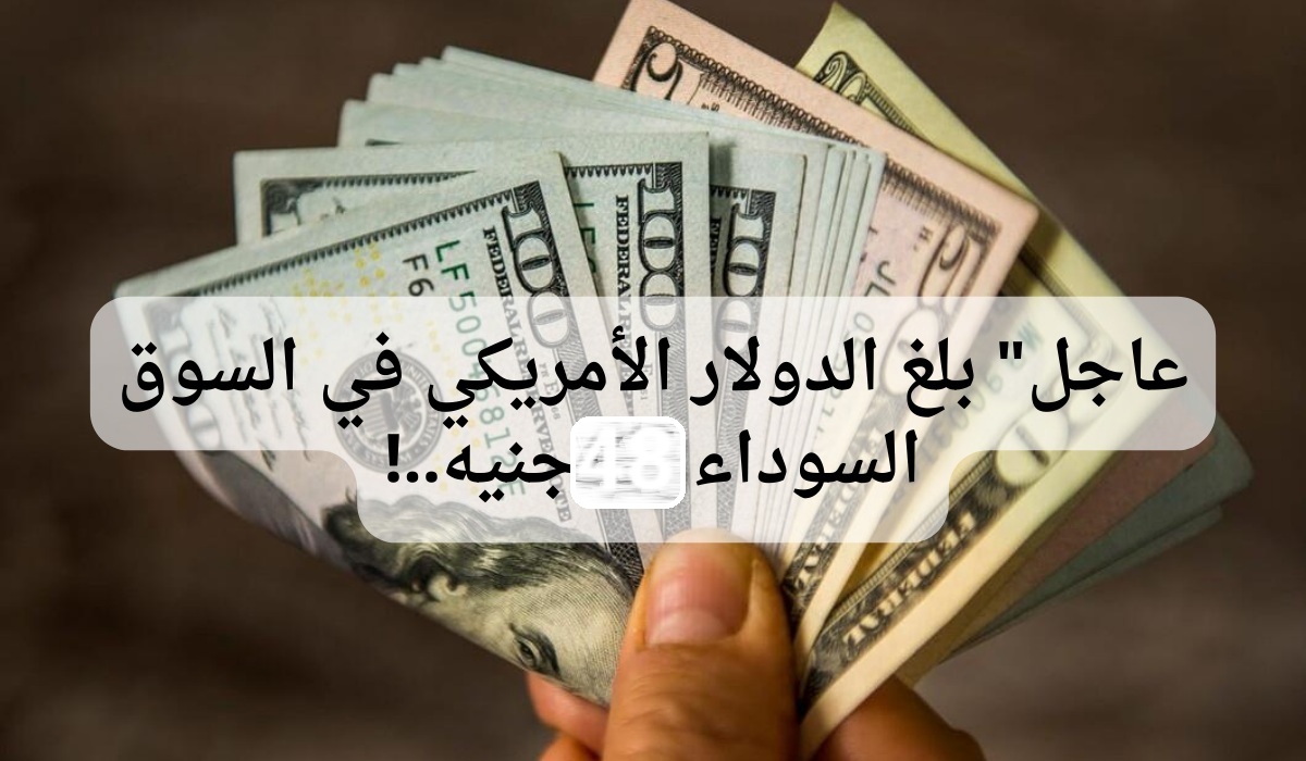 سعر الدولار اليوم