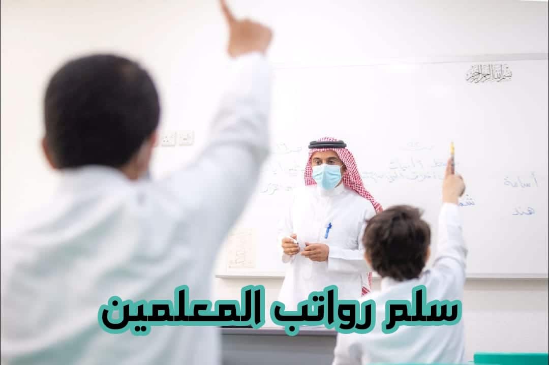 سلم رواتب المعلمين