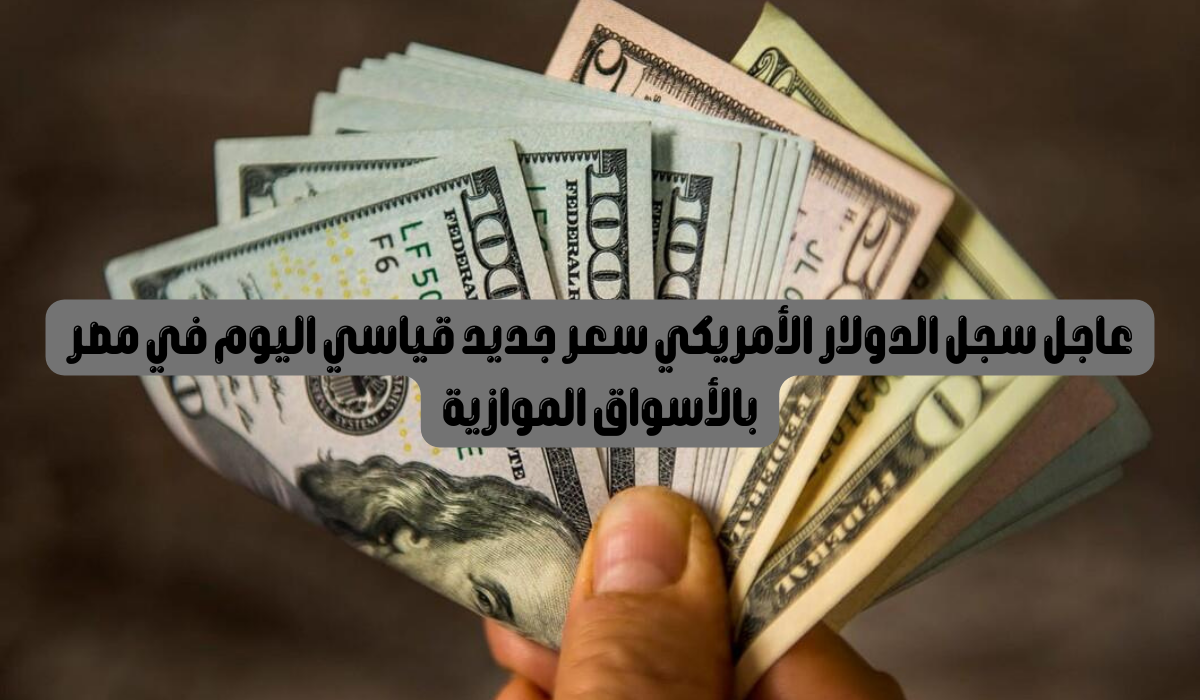 سعر الدولار اليوم