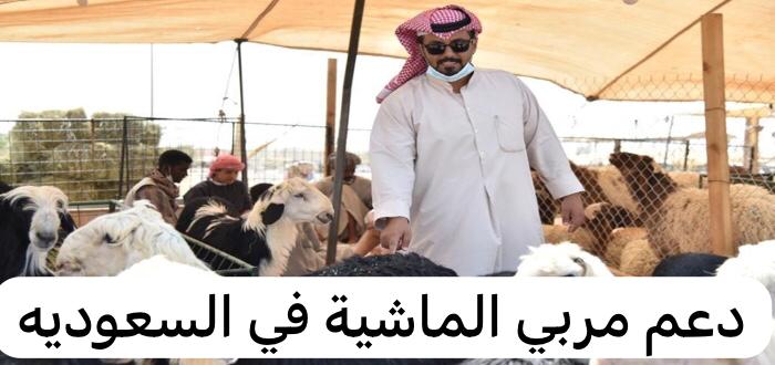 دعم مربي الماشية